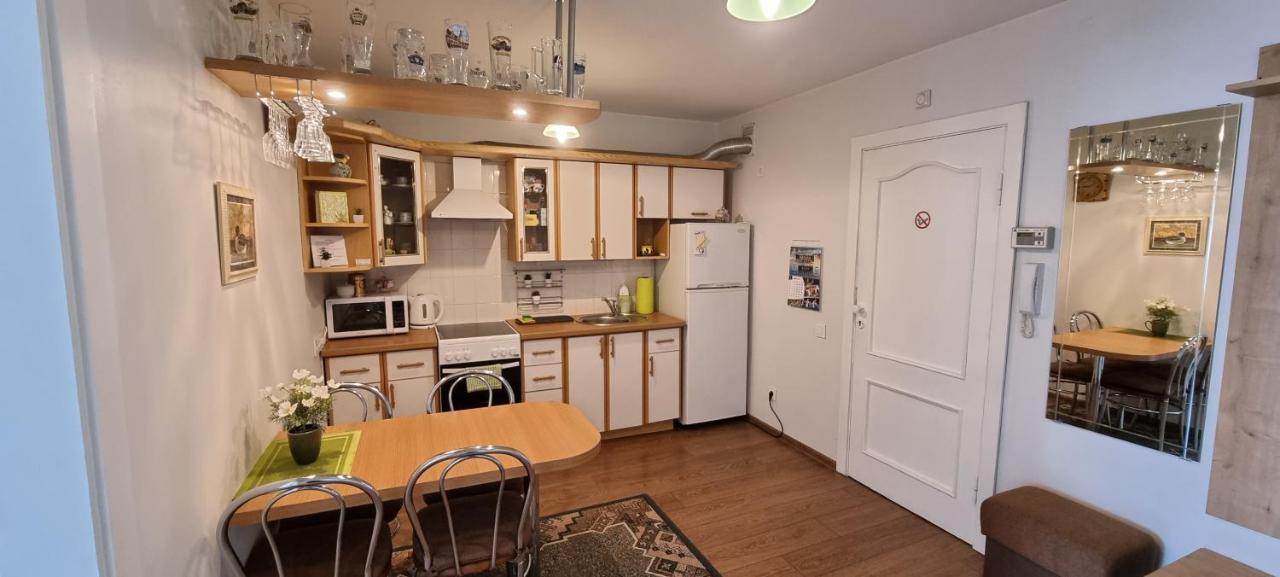 Santariskes Apartment Аеропорт Вільнюс Екстер'єр фото