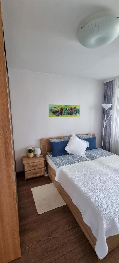 Santariskes Apartment Аеропорт Вільнюс Екстер'єр фото