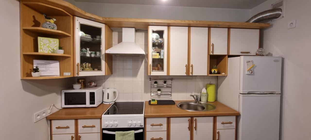Santariskes Apartment Аеропорт Вільнюс Екстер'єр фото