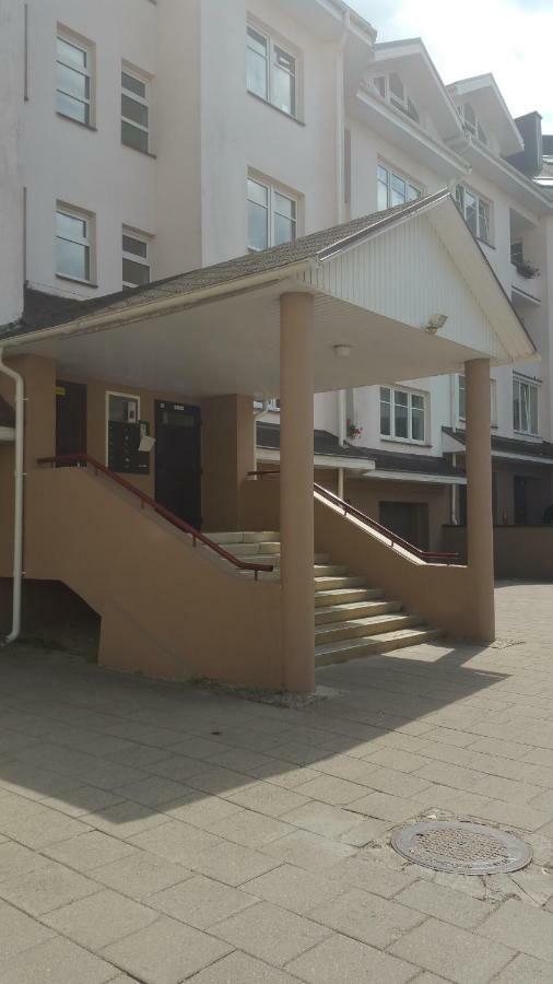 Santariskes Apartment Аеропорт Вільнюс Екстер'єр фото