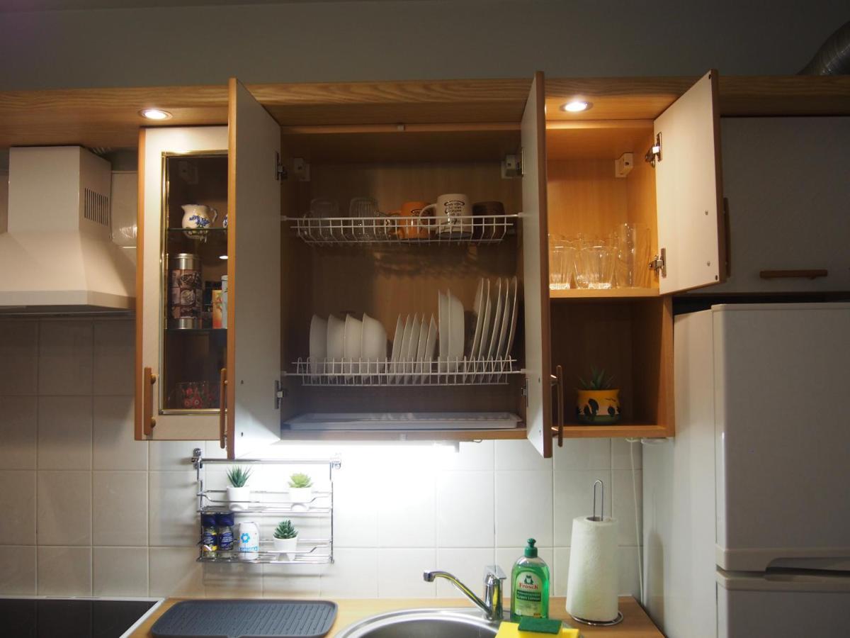 Santariskes Apartment Аеропорт Вільнюс Екстер'єр фото